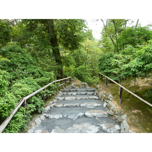 照片 日本(Japan) 京都(Kyoto) 金阁寺(Kinkakuji Temple(Golden Pavilion)) 2010-06 47