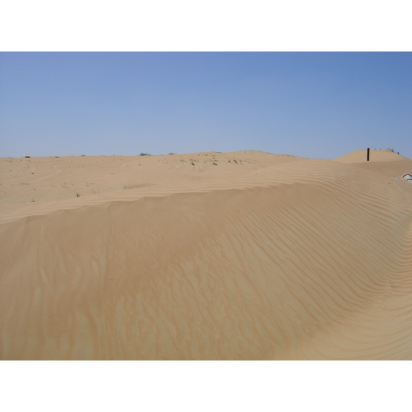 照片 阿联酋(United Arab Emirates) 阿治曼附近公路(Road near Ajman) 2005-03 6