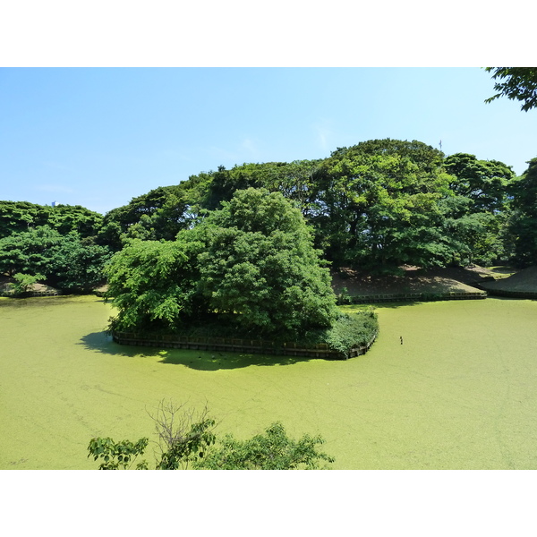 照片 日本(Japan) 东京(Tokyo) 滨离宫恩赐庭园(Hama rikyu Gardens) 2010-06 70