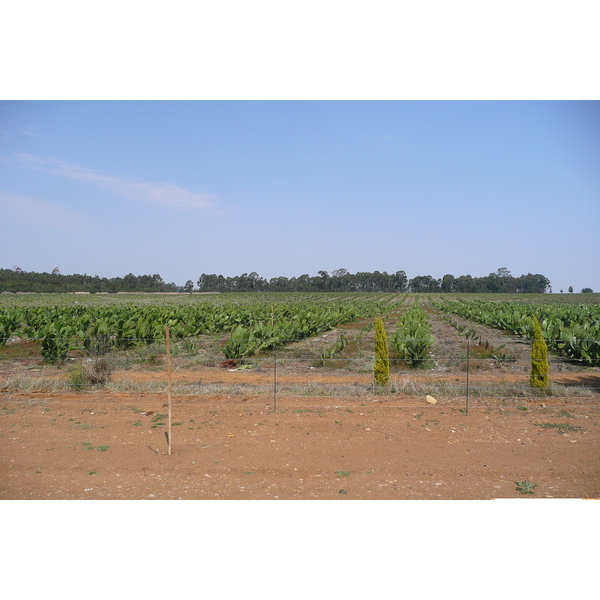 照片 南非(South Africa) 内尔斯普雷特至约翰内斯堡公路(Nelspruit to Johannesburg road) 2008-09 113