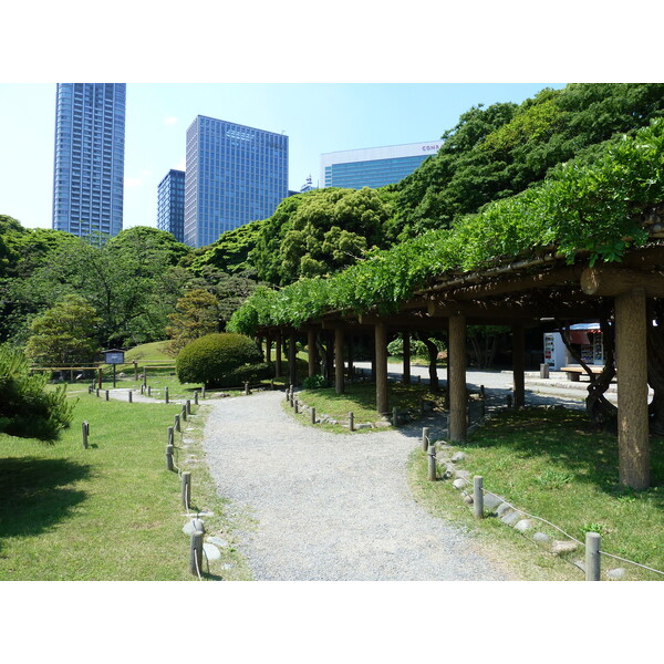 照片 日本(Japan) 东京(Tokyo) 滨离宫恩赐庭园(Hama rikyu Gardens) 2010-06 56