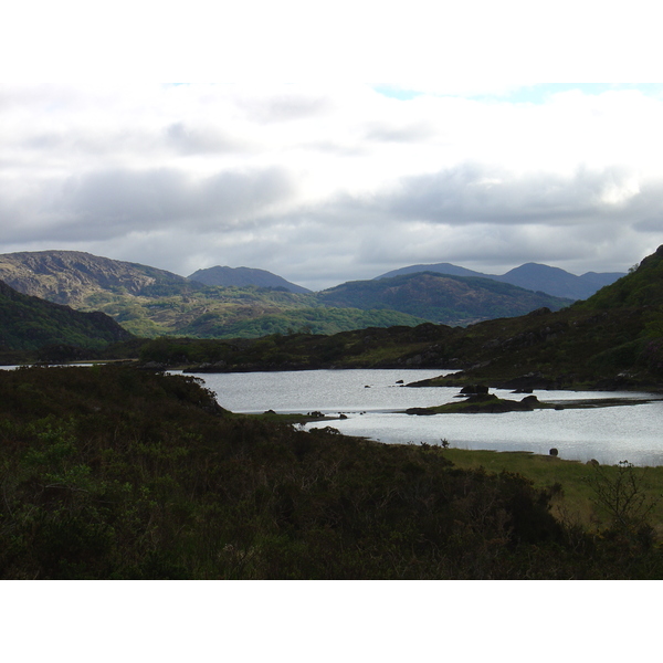 照片 爱尔兰(Ireland) 凯里郡(Kerry) 基拉尼国家公园(Killarney National Park) 2004-05 17