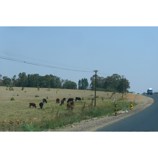 照片 南非(South Africa) 内尔斯普雷特至约翰内斯堡公路(Nelspruit to Johannesburg road) 2008-09 86