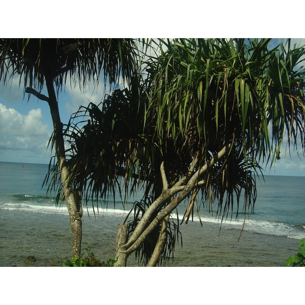 照片 波利尼西亚(Polynesia) 塔希提岛(Tahiti) 2006-04 13