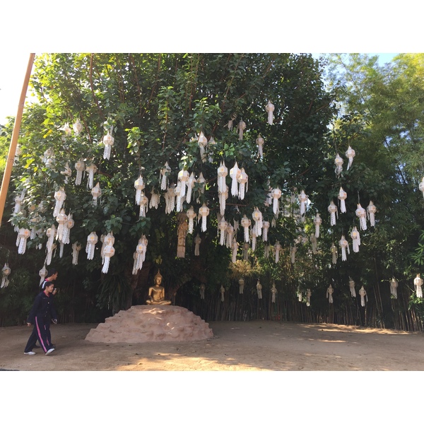 照片 泰国(Thailand) 清迈(Chiang Mai) 2014-12 59