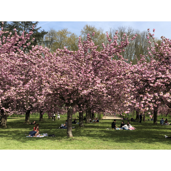 照片 法国(France) 索镇公园(Parc de Sceaux) 2019-04 64