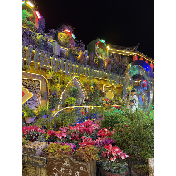 照片 中国(China) 丽江(Lijiang) 2026-01 374
