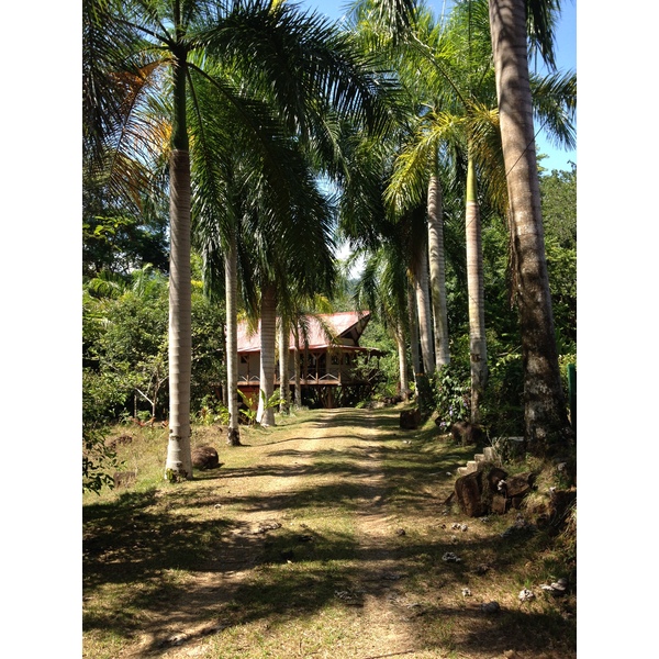 照片 哥斯达黎加(Costa Rica) 乌维塔(Uvita) 2015-03 77