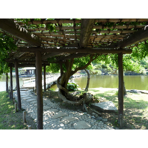 照片 日本(Japan) 东京(Tokyo) 滨离宫恩赐庭园(Hama rikyu Gardens) 2010-06 54
