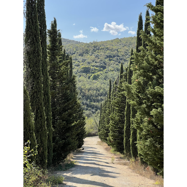 照片 意大利(Italy) 托斯卡纳(Tuscany) 2021-09 19