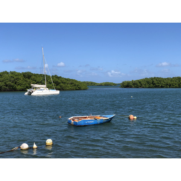 照片 瓜德罗普(Guadeloupe) 圣罗斯(Sainte Rose) 2021-02 6