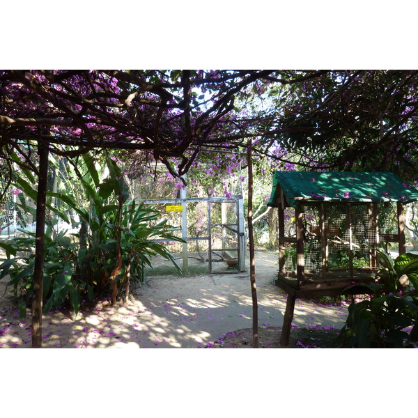 照片 泰国(Thailand) 清迈(Chiang Mai) 湄沙蛇园(Mae Sa Snake Farm) 2010-12 55