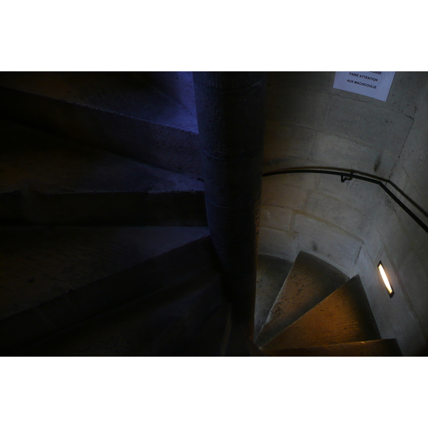 照片 法国(France) 塔拉斯孔(Tarascon) 塔拉斯孔城堡(Tarascon Castle) 2008-04 43