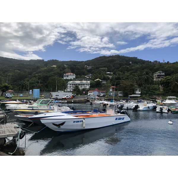 照片 瓜德罗普(Guadeloupe) 黑角(Black Point) 2021-02 12