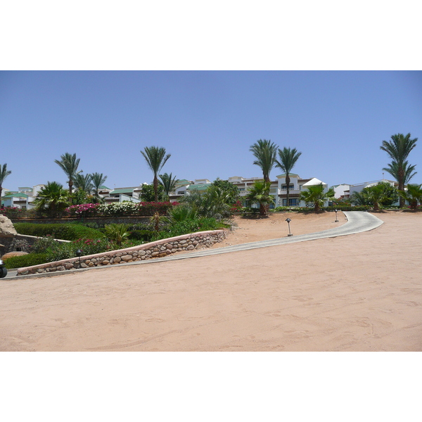 照片 埃及(Egypt) 沙姆沙伊赫(Sharm el Sheikh) 凯悦酒店(Hyatt Hotel) 沙姆沙伊赫凯悦海滩(Hyatt Sharm el Sheikh Beach) 2008-06 32