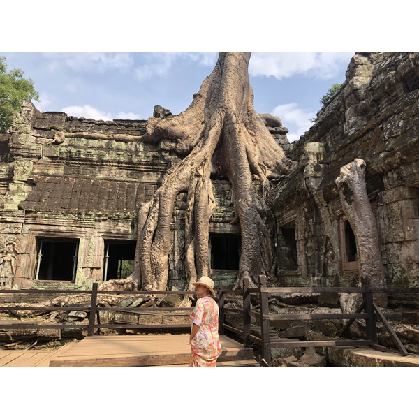 照片 柬埔寨(Cambodia) 暹粒(Siem Reap) 塔布茏寺(Ta Prohm) 2023-01 46