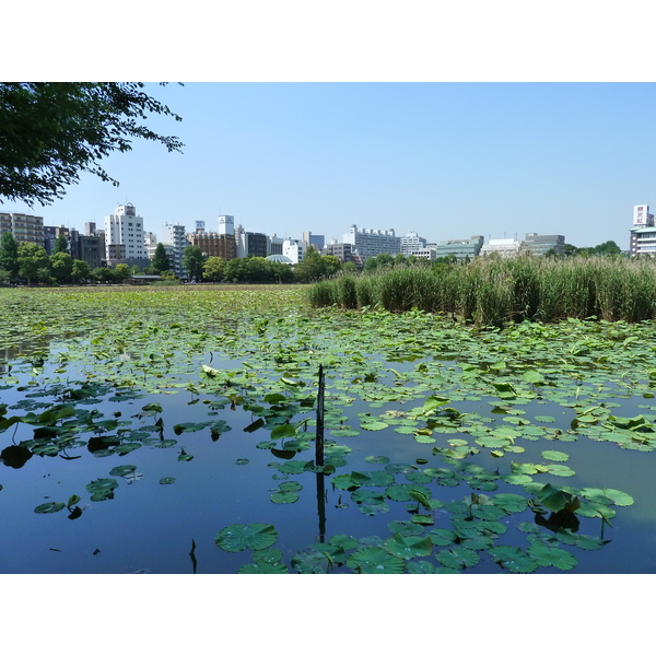 照片 日本(Japan) 东京(Tokyo) 上野(Ueno) 2010-06 69
