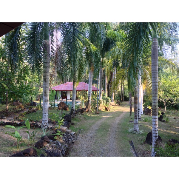 照片 哥斯达黎加(Costa Rica) 乌维塔(Uvita) 2015-03 52