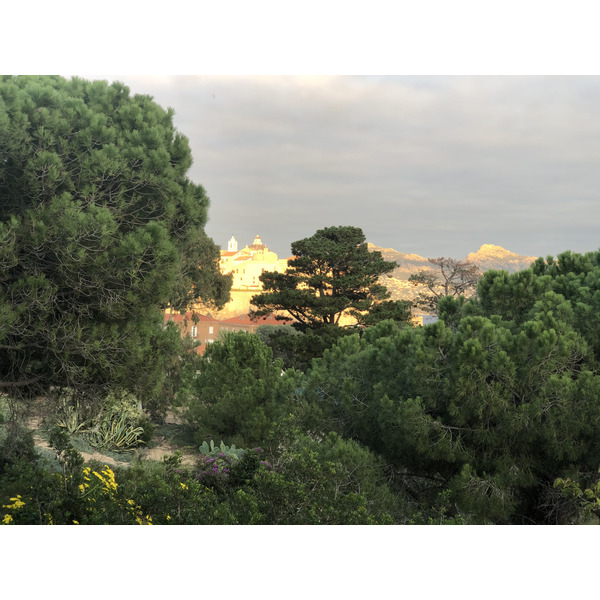 照片 法国(France) 科西嘉岛(Corsica) 卡尔维(Calvi) 2020-10 19