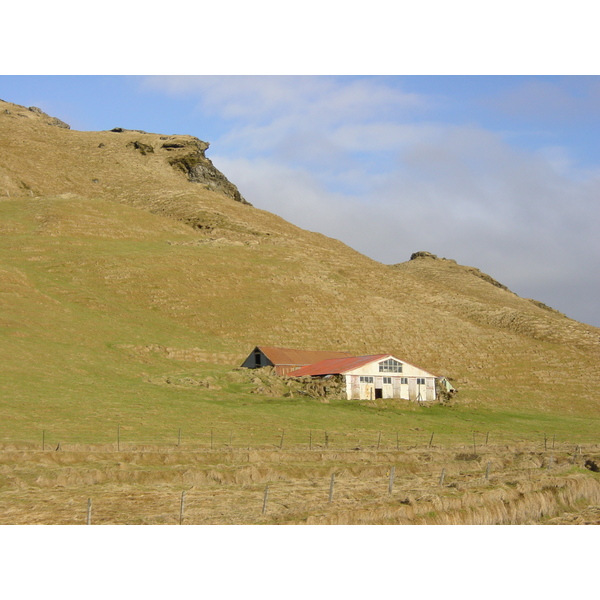 照片 冰岛(Iceland) 迪霍拉伊(Dyrholaey) 2003-03 31