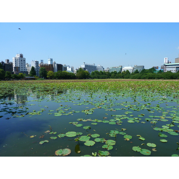 照片 日本(Japan) 东京(Tokyo) 2010-06 41
