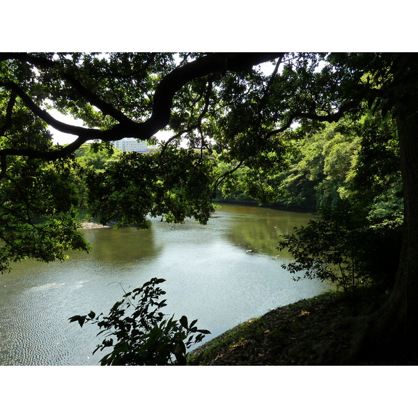 照片 日本(Japan) 东京(Tokyo) 滨离宫恩赐庭园(Hama rikyu Gardens) 2010-06 71
