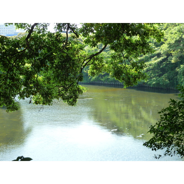 照片 日本(Japan) 东京(Tokyo) 滨离宫恩赐庭园(Hama rikyu Gardens) 2010-06 63