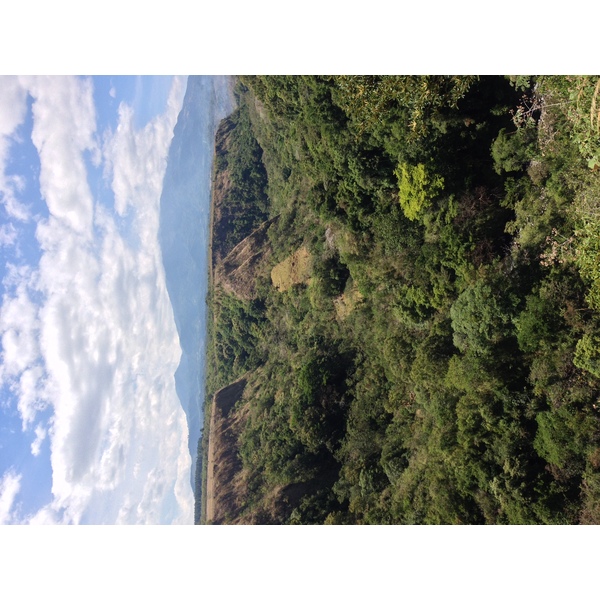 照片 巴拿马(Panama) 博克特(Boquete) 2015-03 128