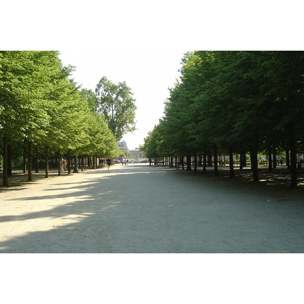 照片 法国(France) 巴黎(Paris) 杜乐丽花园(Garden of Tuileries) 2007-05 126