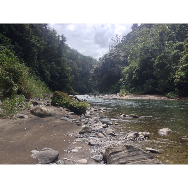 照片 哥斯达黎加(Costa Rica) 帕夸雷河(Pacuare River) 2015-03 91