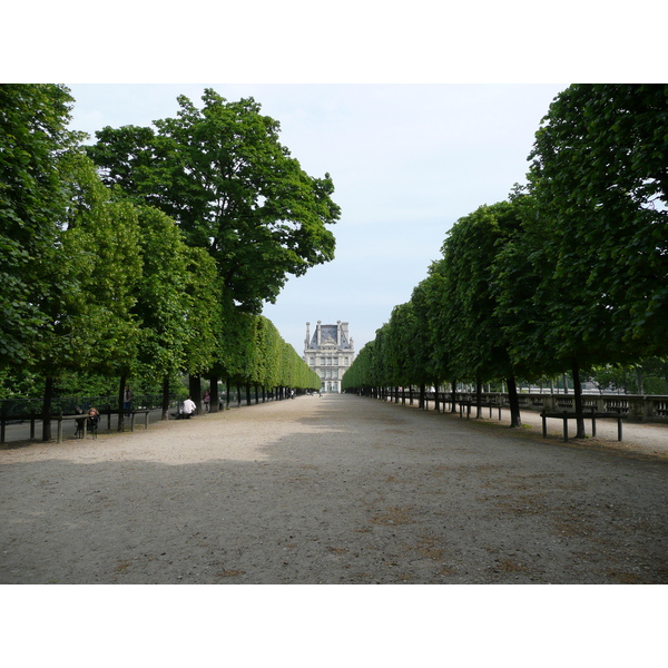 照片 法国(France) 巴黎(Paris) 杜乐丽花园(Garden of Tuileries) 2007-05 242