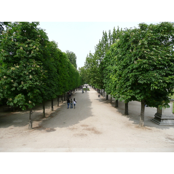 照片 法国(France) 巴黎(Paris) 杜乐丽花园(Garden of Tuileries) 2007-05 291