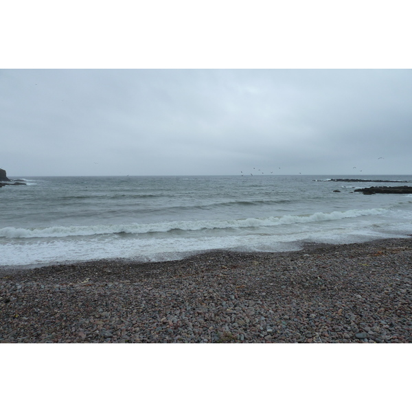 照片 英国(United Kingdom) 苏格兰(Scotland) 马里海岸(Moray Coast) 2011-07 26