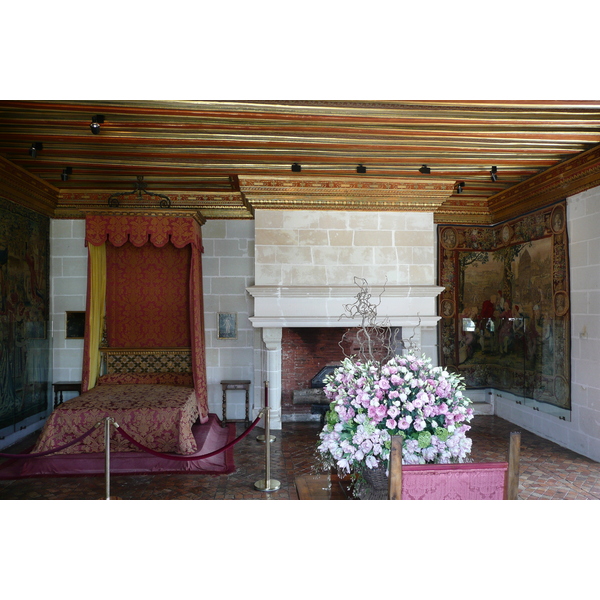 照片 法国(France) 舍农索城堡(Chenonceau Castle) 2008-04 96