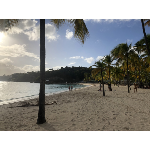 照片 瓜德罗普(Guadeloupe) 卡拉维尔海滩(La Caravelle Beach) 2021-02 58