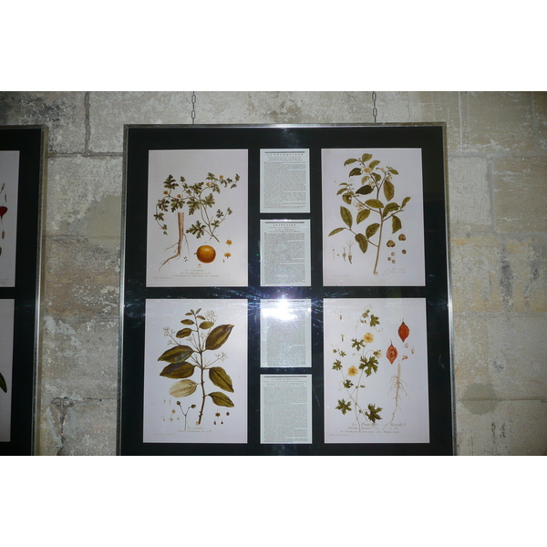 照片 法国(France) 塔拉斯孔(Tarascon) 塔拉斯孔城堡(Tarascon Castle) 2008-04 160