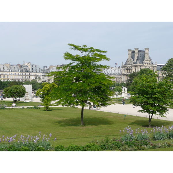 照片 法国(France) 巴黎(Paris) 杜乐丽花园(Garden of Tuileries) 2007-05 302
