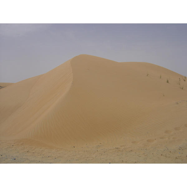 照片 阿联酋(United Arab Emirates) 迪拜至艾因公路(Dubai to Al Ain road) 2005-03 33
