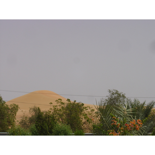 照片 阿联酋(United Arab Emirates) 迪拜至艾因公路(Dubai to Al Ain road) 2005-03 23