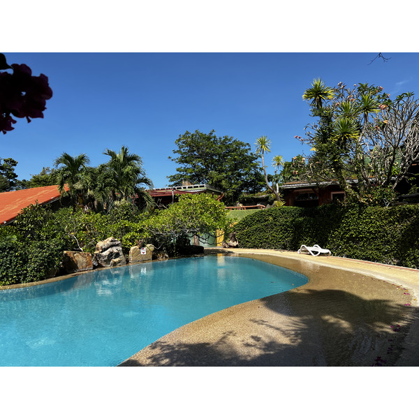 照片 泰国(Thailand) 普吉岛(Phuket) 卡塔海滩(Kata Beach) 卡塔花园度假村(Kata Garden Resort) 2021-12 0