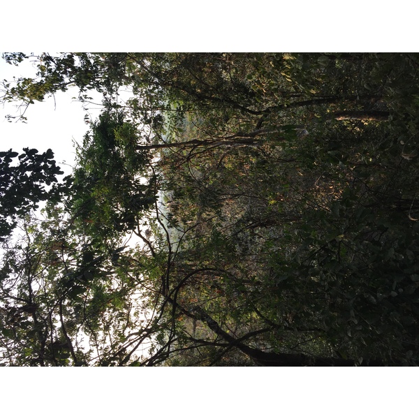 照片 泰国(Thailand) 西沙差那莱历史公园(Si satchanalai historical park) 2014-12 89