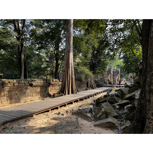 照片 柬埔寨(Cambodia) 暹粒(Siem Reap) 塔布茏寺(Ta Prohm) 2023-01 148