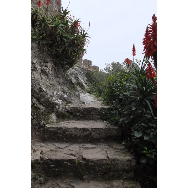 照片 葡萄牙(Portugal) 奥比多斯(Obidos) 2013-01 19