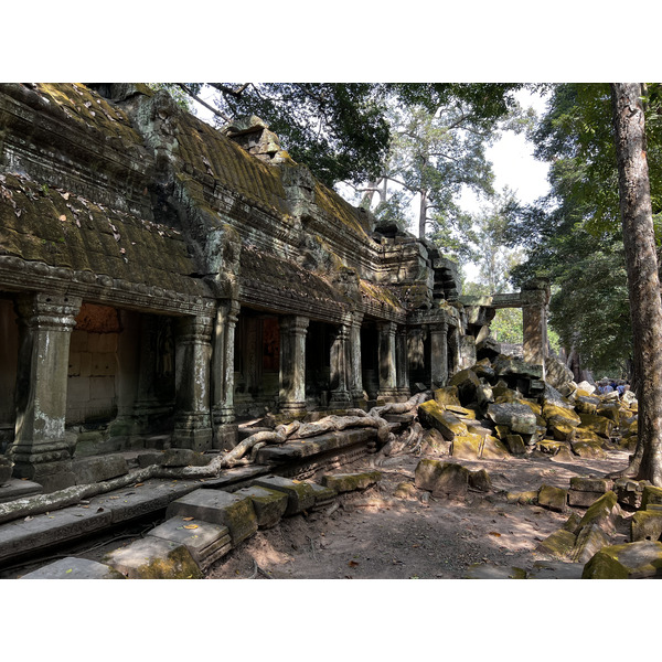 照片 柬埔寨(Cambodia) 暹粒(Siem Reap) 塔布茏寺(Ta Prohm) 2023-01 34