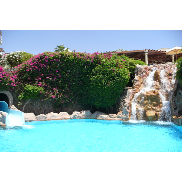 照片 埃及(Egypt) 沙姆沙伊赫(Sharm el Sheikh) 凯悦酒店(Hyatt Hotel) 沙姆沙伊赫凯悦泳池(Hyatt Sharm el Sheikh Pool) 2008-06 5