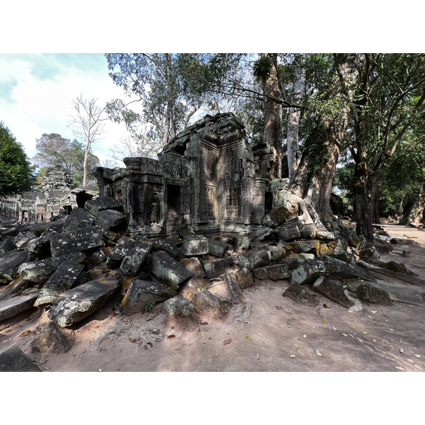 照片 柬埔寨(Cambodia) 暹粒(Siem Reap) 塔布茏寺(Ta Prohm) 2023-01 50