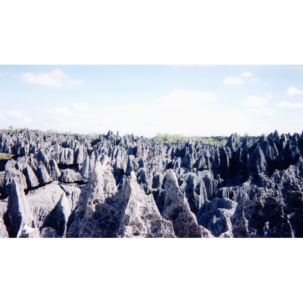 照片 马达加斯加(Madagascar) 黥基(Tsingy) 1999-10 19