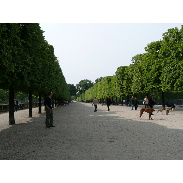 照片 法国(France) 巴黎(Paris) 杜乐丽花园(Garden of Tuileries) 2007-05 342