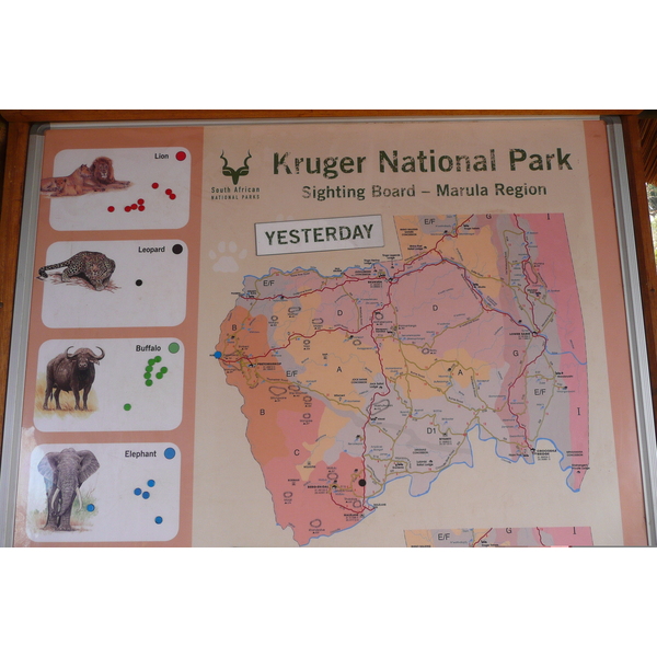 照片 南非(South Africa) 克鲁格国家公园(Kruger National Park) 2008-09 27
