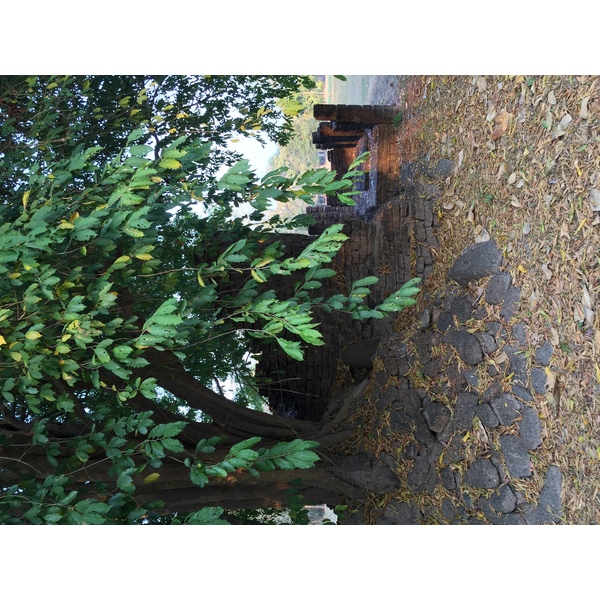 照片 泰国(Thailand) 西沙差那莱历史公园(Si satchanalai historical park) 2014-12 48